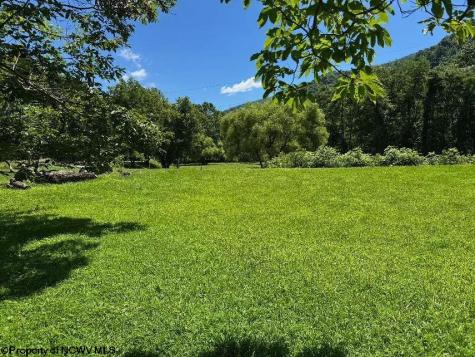 0 Brooklyn Heights Road Parsons WV 26287