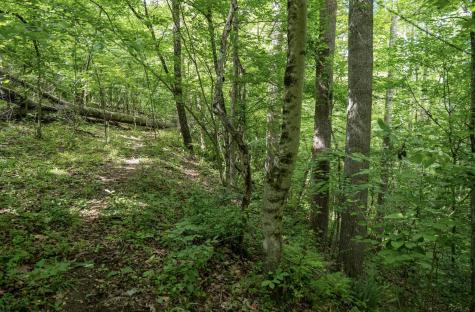 1 S Crim Avenue Belington WV 26250