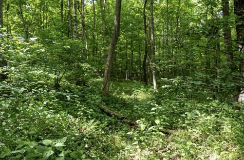 1 S Crim Avenue Belington WV 26250
