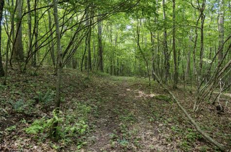 1 S Crim Avenue Belington WV 26250