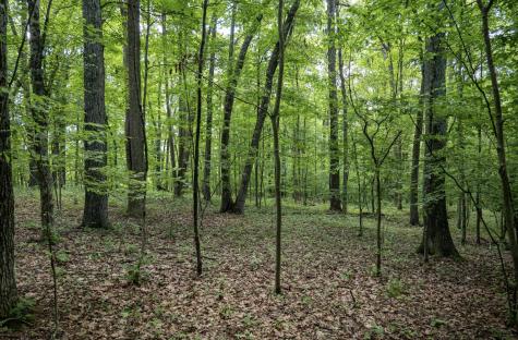 1 S Crim Avenue Belington WV 26250