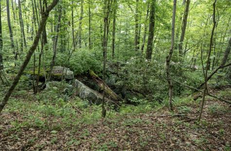 1 S Crim Avenue Belington WV 26250