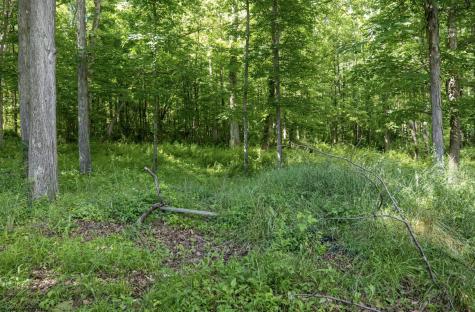1 S Crim Avenue Belington WV 26250