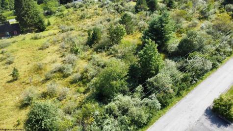 52 Bobolink Drive Terra Alta WV 26764