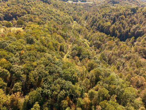 3847 Crooked Fork Road Walkersville WV 26447