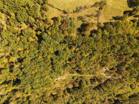 3847 Crooked Fork Road Walkersville WV 26447