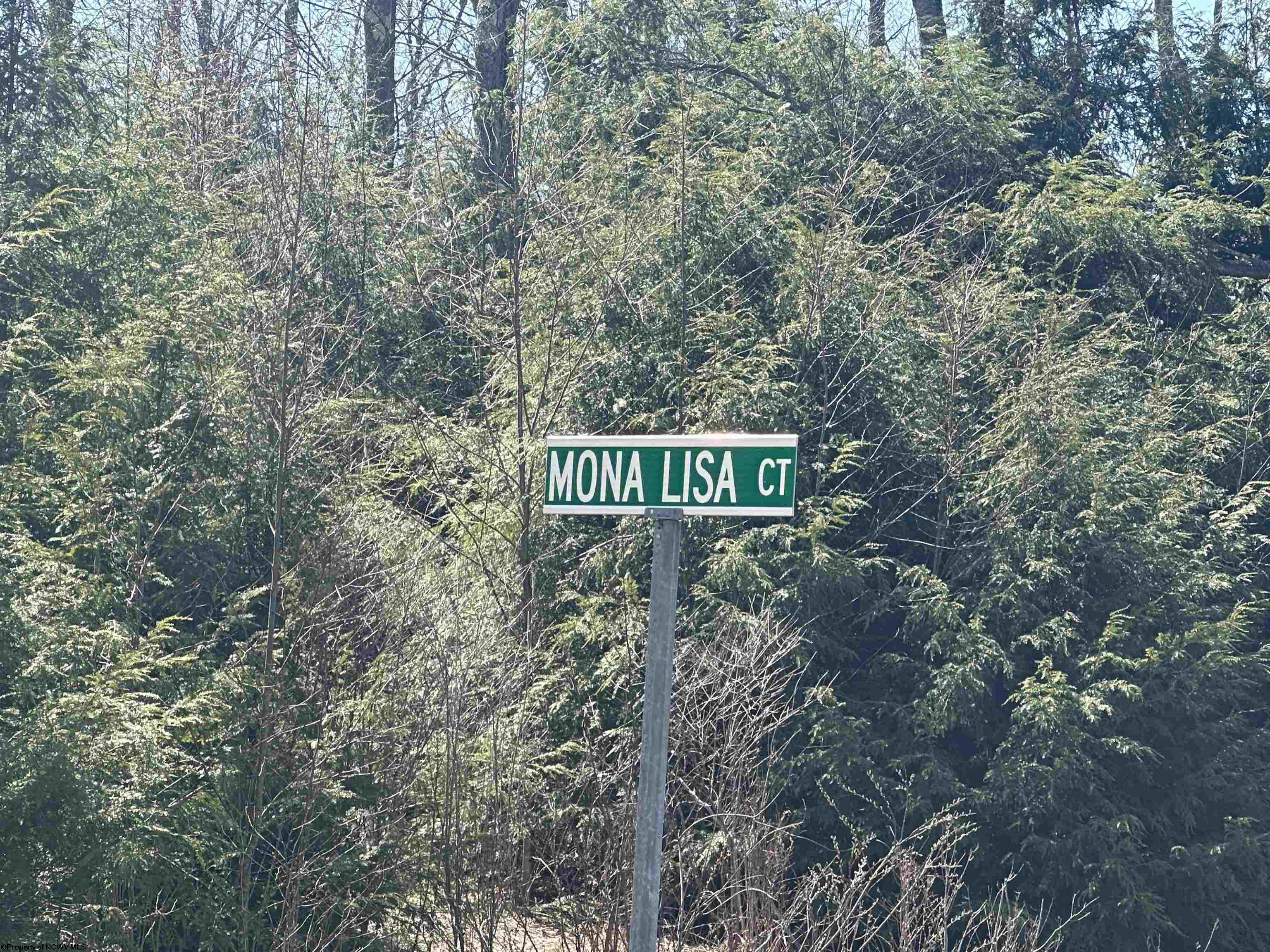 194 Florence Court Davis WV 26260