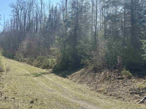 194 Florence Court Davis WV 26260