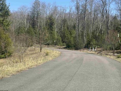 194 Florence Court Davis WV 26260