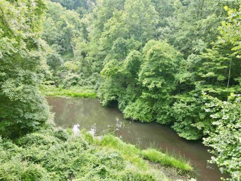 1527 Cowskin Fork Road Duck WV 25063