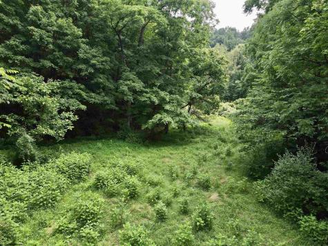 1527 Cowskin Fork Road Duck WV 25063