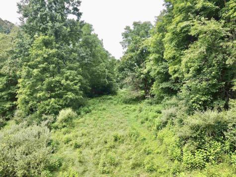 1527 Cowskin Fork Road Duck WV 25063