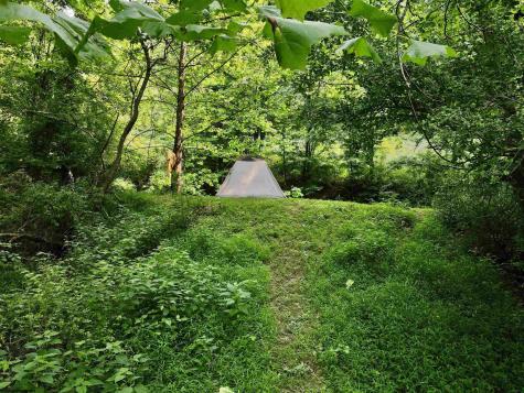 1527 Cowskin Fork Road Duck WV 25063