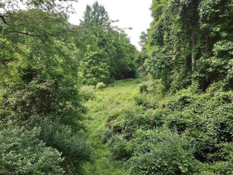 1527 Cowskin Fork Road Duck WV 25063