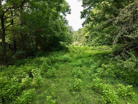 1527 Cowskin Fork Road Duck WV 25063