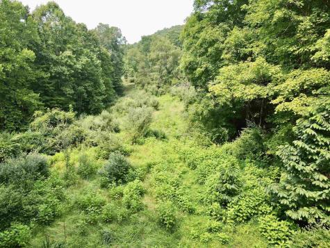 1527 Cowskin Fork Road Duck WV 25063