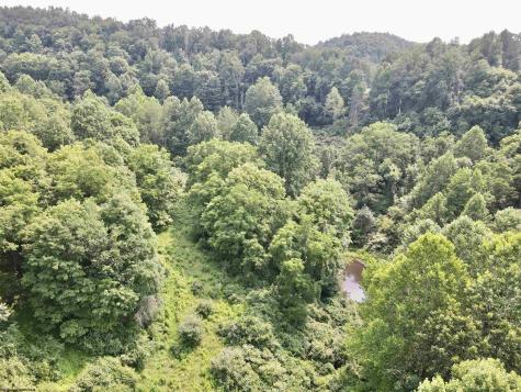 1527 Cowskin Fork Road Duck WV 25063