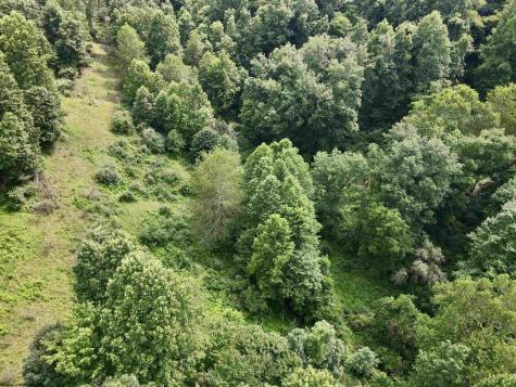 1527 Cowskin Fork Road Duck WV 25063