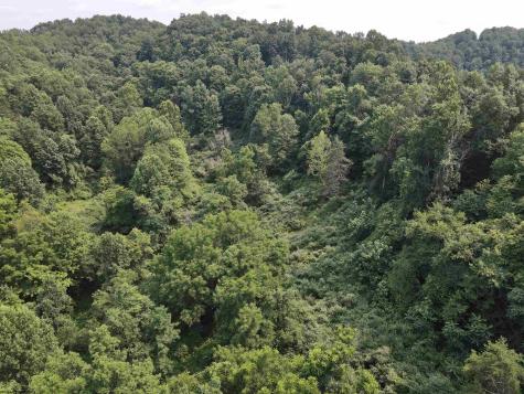 1527 Cowskin Fork Road Duck WV 25063