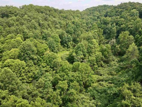 1527 Cowskin Fork Road Duck WV 25063