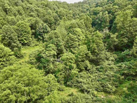 1527 Cowskin Fork Road Duck WV 25063