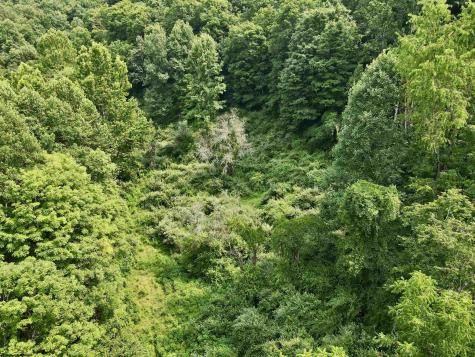 1527 Cowskin Fork Road Duck WV 25063