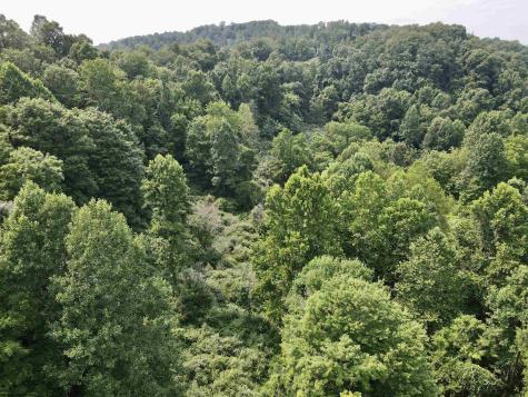 1527 Cowskin Fork Road Duck WV 25063