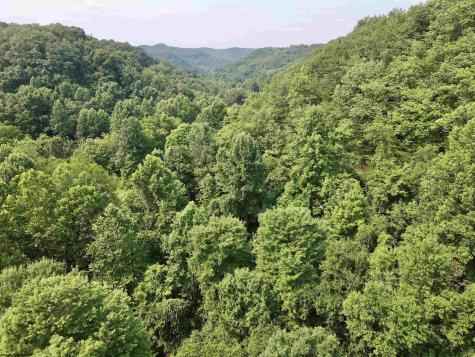 1527 Cowskin Fork Road Duck WV 25063