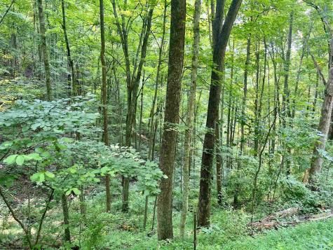 1527 Cowskin Fork Road Duck WV 25063