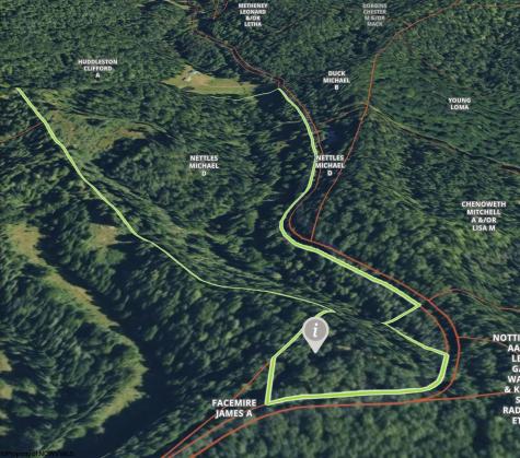 1527 Cowskin Fork Road Duck WV 25063