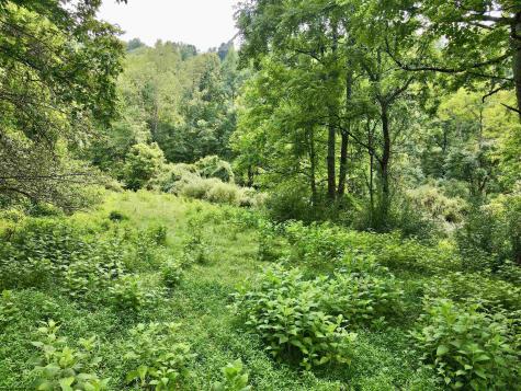 1527 Cowskin Fork Road Duck WV 25063