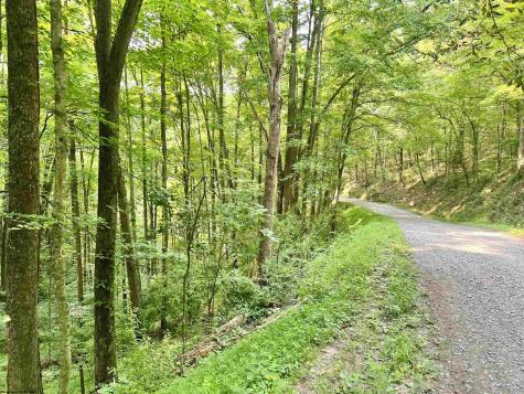 1527 Cowskin Fork Road Duck WV 25063