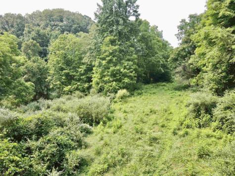 1527 Cowskin Fork Road Duck WV 25063