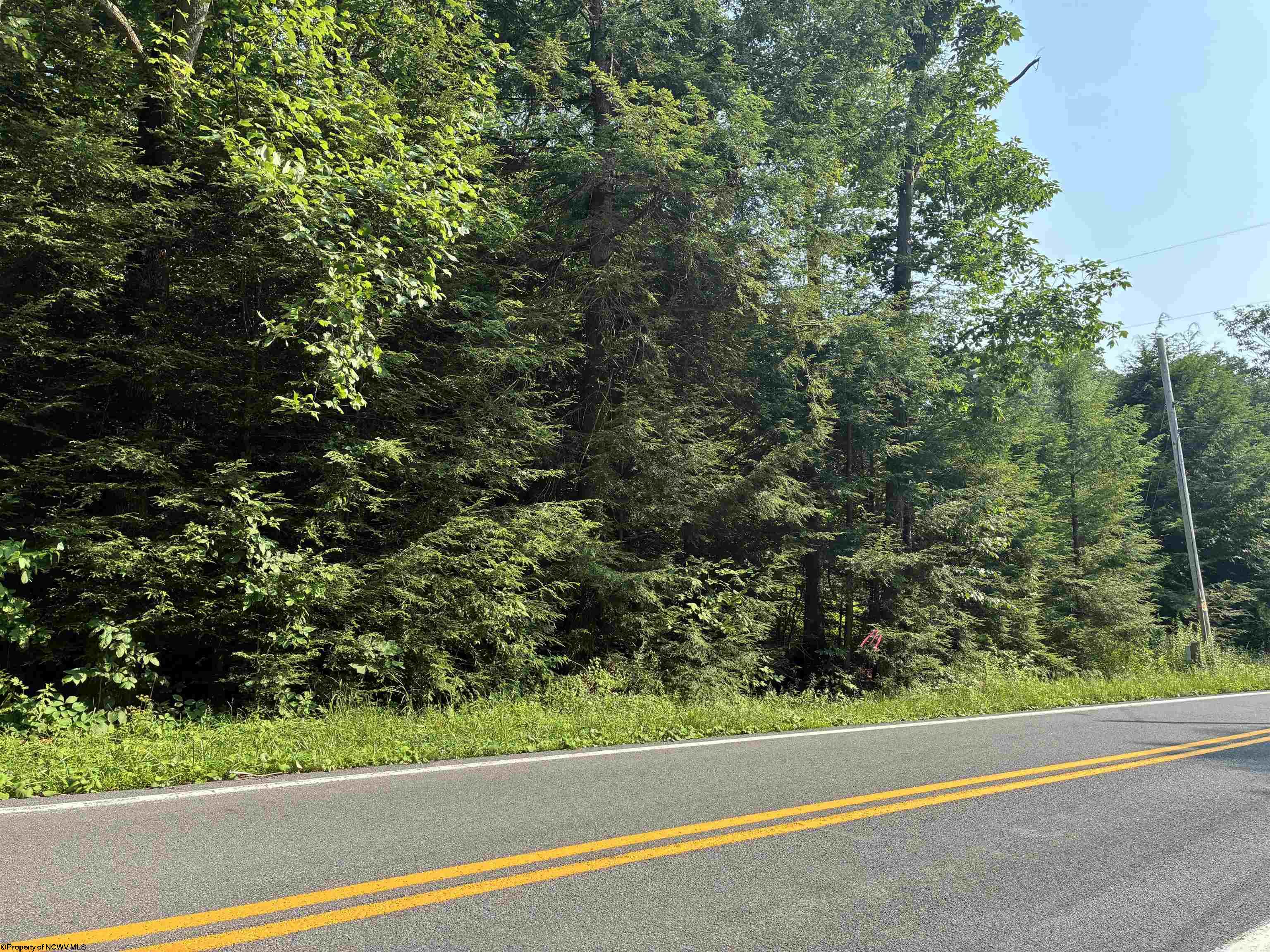 0 Woolen Mills Road Albright WV 26519