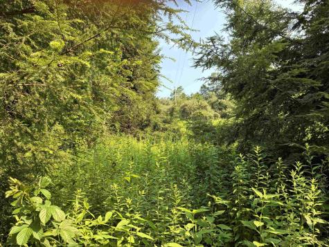 0 Woolen Mills Road Albright WV 26519