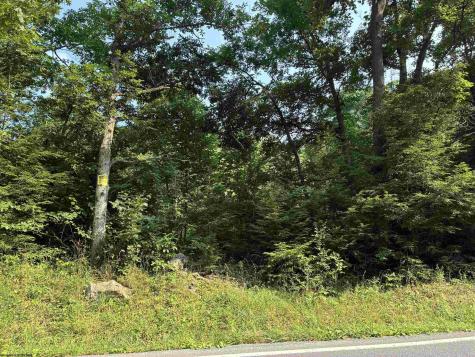 0 Woolen Mills Road Albright WV 26519