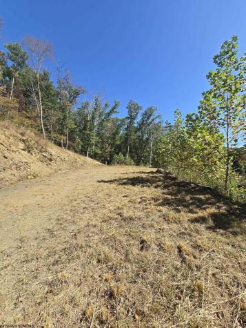 28 Woodland Drive Beverly WV 26253