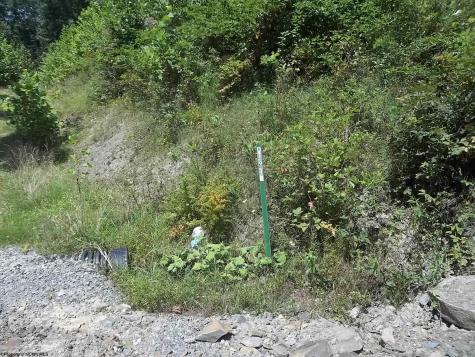 28 Woodland Drive Beverly WV 26253