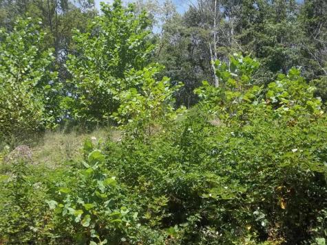 28 Woodland Drive Beverly WV 26253