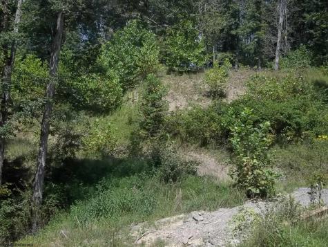 28 Woodland Drive Beverly WV 26253