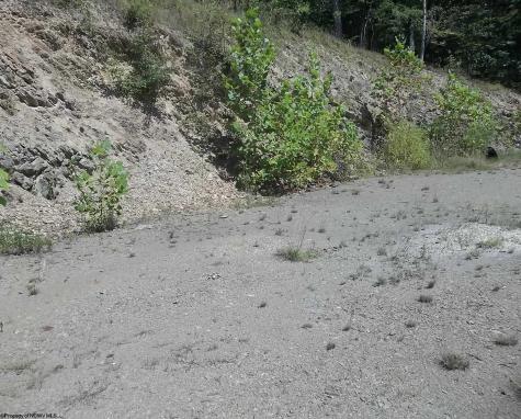 28 Woodland Drive Beverly WV 26253