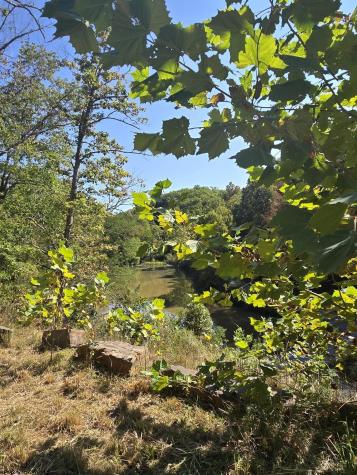 28 Woodland Drive Beverly WV 26253