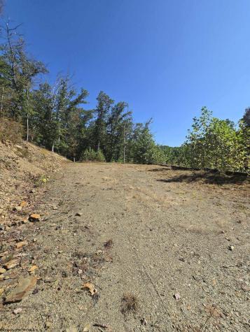 28 Woodland Drive Beverly WV 26253