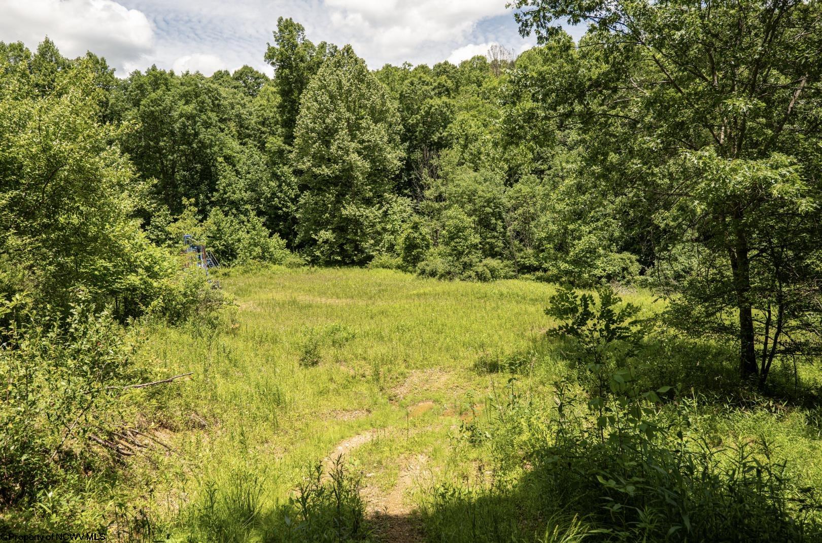 16 Lake Island Drive Belington WV 26250