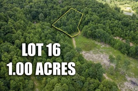 16 Lake Island Drive Belington WV 26250