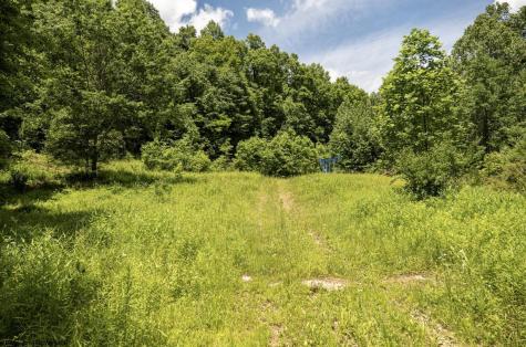16 Lake Island Drive Belington WV 26250