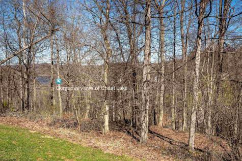 41 Falling Water Lane Morgantown WV 26508