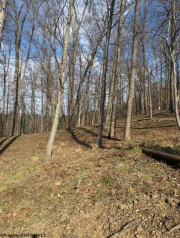 0 Windsor Road Bridgeport WV 26330