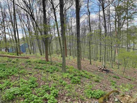 0 Windsor Road Bridgeport WV 26330