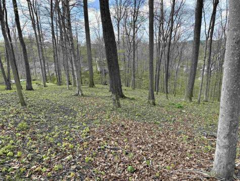 0 Windsor Road Bridgeport WV 26330